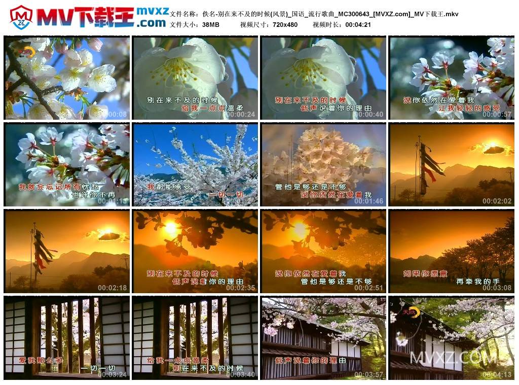 佚名-别在来不及的时候(风景)_国语_流行歌曲_MC300643